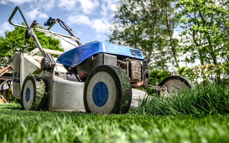 lawnmower small